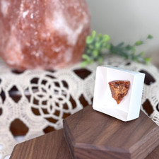 Rough Fire Opal Specimen -