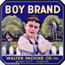 Plant City Florida Boy Orange