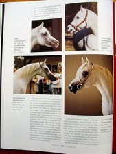 Araber Almanach * 50 Jahre