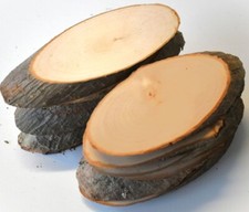 12 Stück Rindenbrettchen Erle natur, ca. 16-18 x 7-8 x 1-1,5cm oval, Bastelholz