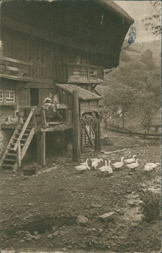 Ansichtskarte bauernhaus - ansichtskarte,