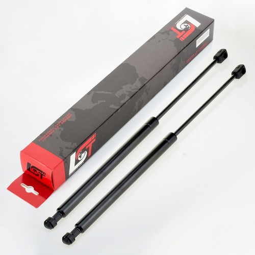 Gasdruckfeder lifter - 2x,