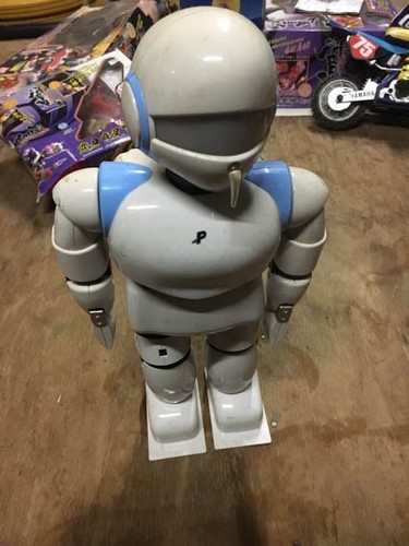 Pino robot - robot,, real