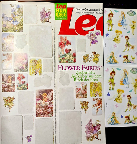 Konvolut flower fairies - flower,