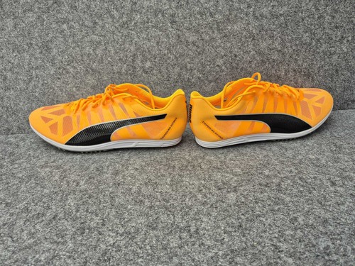 Neue puma evospeed - neue,