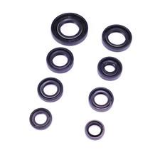 Motor Simmering Satz für