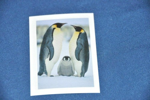 Rewe abenteuer tierwelt - rewe,