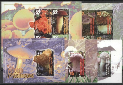 Pilze mushrooms grenada - pilze,,