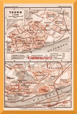 Thorn +126 Jahre alter