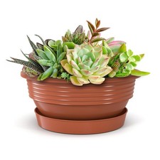 Pflanzschalen 5er Set mit