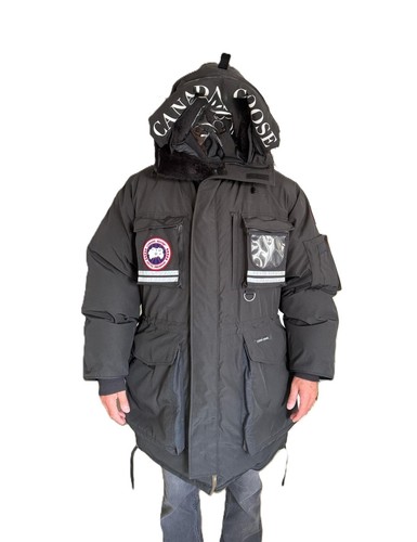 Canada goose snow - snow, l