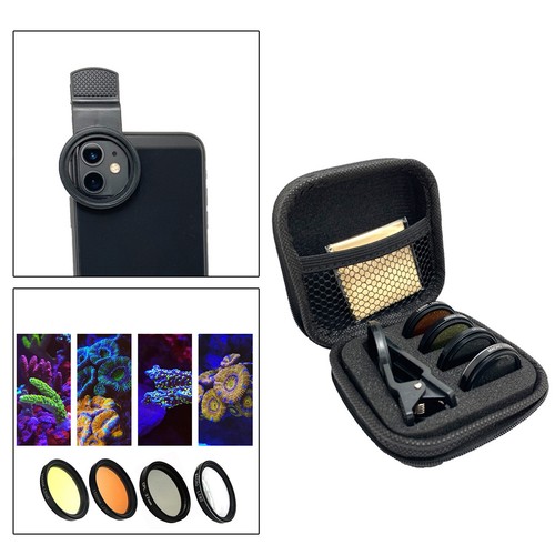 Reef coral lens - coral,