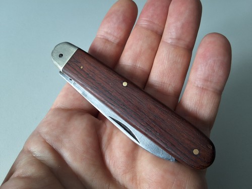 Seltenes otter - seltenes,