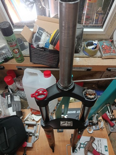 Bucklos federgabel zoll - bucklos, 29