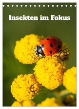 Sabrina Brunn | Insekten im
