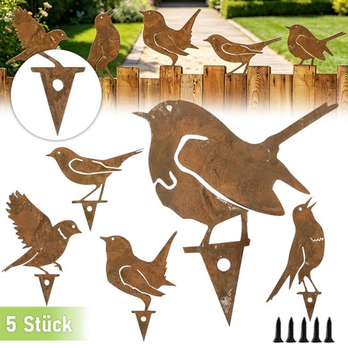 Rost vogel vögel - vogel,