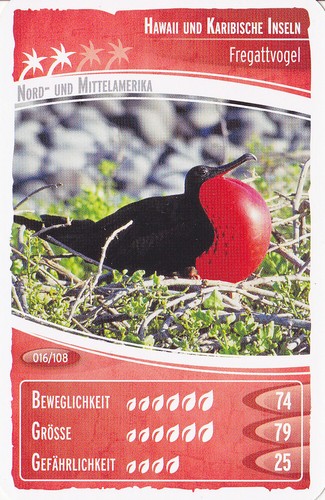Netto ozeanien - ,