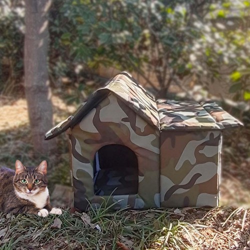 Streunende katzen shelter - streunende,