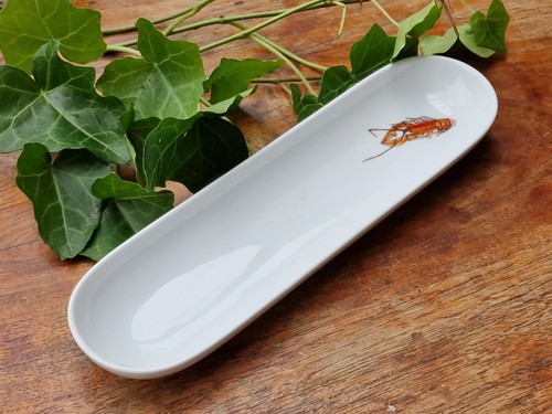 Meissen schale form - form, "neuer