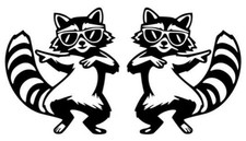 2x  WASCHBÄR  links/rechts