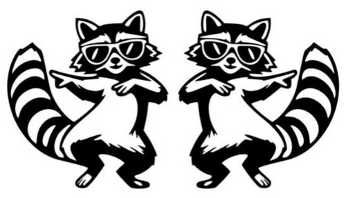 Waschbär links rechts - 2x,