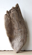 Treibholz Schwemmholz