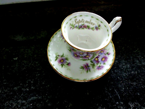 Royal albert tee duo - albert,,