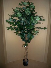 Kunstpflanze Ficus Benjamini