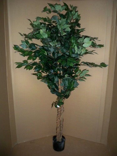 Kunstpflanze ficus benjamini - kunstpflanze,