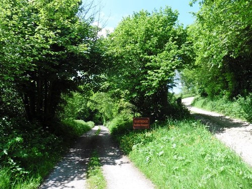 Foto 6x4 spur zum - foto,
