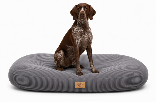 Orthopädisches hundebett - orthopädisches,
