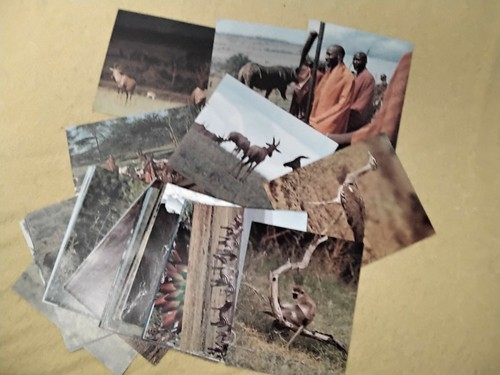 Gloria bilder sammelbilder - gloria,