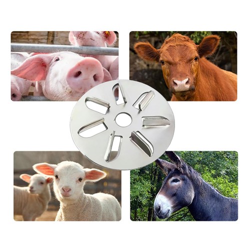 Schweinehaarschaber zum