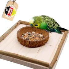 Sitzbrett mit Kokosschale
