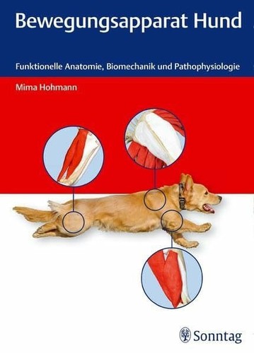 Bewegungsapparat hund - bewegungsapparat,