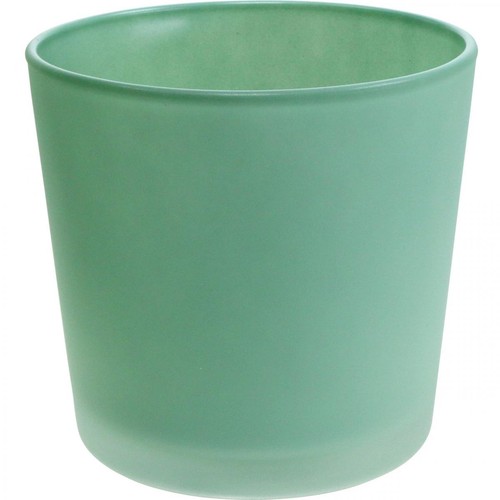 Blumentopf aus glas mit - blumentopf, matter