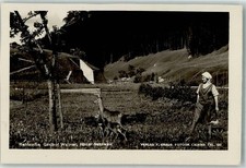 13979382 - Schwarzau Foto Liebing Gasthaus Wallner Rehfamilie Hinter-Nasswald