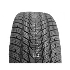 Winter-Reifen 245/45 R17 99V
