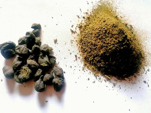 Hanfanbau cannabisanbau - hanfanbau,