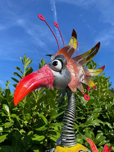 Vogel hugo medusa - xl,