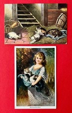 2 x Künstler AK 1907 Katze