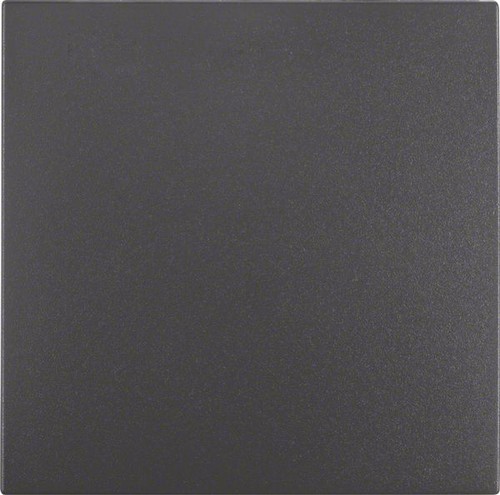 Berker 16201606 wippe - 16201606,