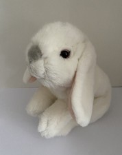 White Lop Eared Bunny