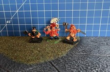 Drachenslayer Zwerge