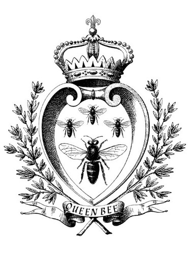Wasserschiebefolie-Decalfolie-
