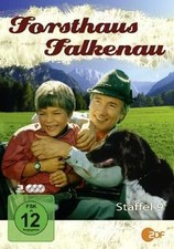 Forsthaus Falkenau - Staffel 9 (Jumbo Amaray - 3 DVDs) vo... | DVD | Zustand gut