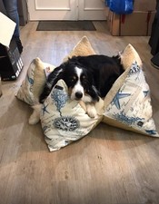 Hundekissen Stern Nest Krone Teddyfell beige Maritim Sylter Handarbeit 90 cm