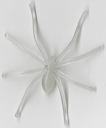 Spinne winkelspinne - 2,