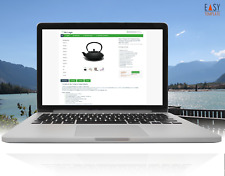 eBay Vorlage 2025 Auktion