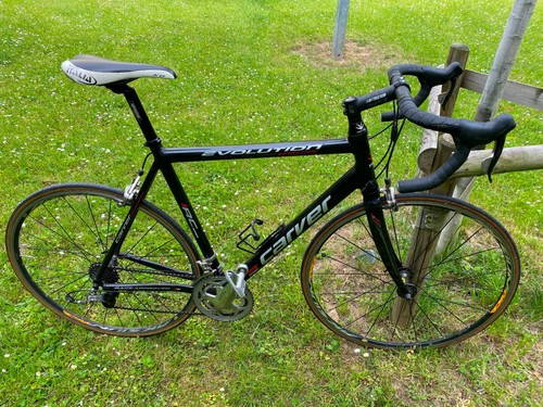Rennrad carver evolution - rennrad,